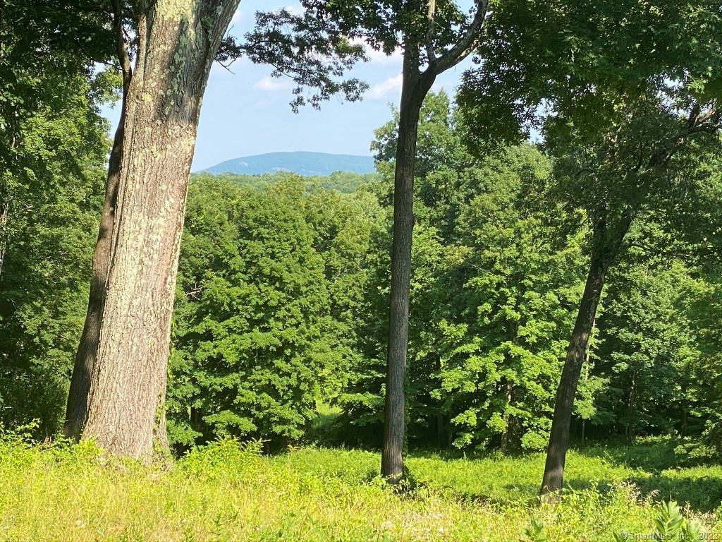 75 Scoville Ore Mine Road Salisbury, CT 06068 - Photo 1 of 1 Gallery Image 1