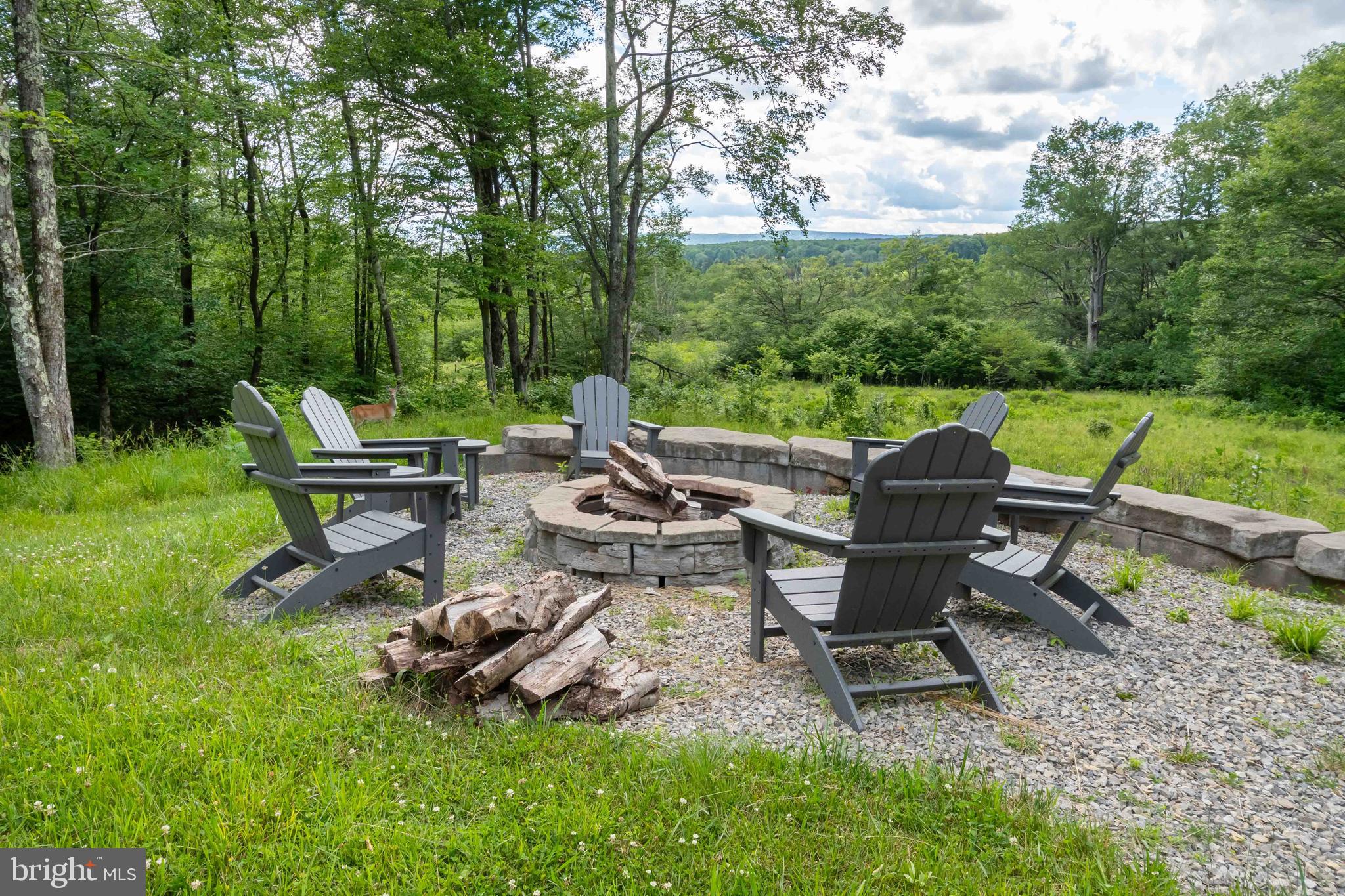 1077 Sand Run Road Davis, WV 26260 - Photo 16 of 69