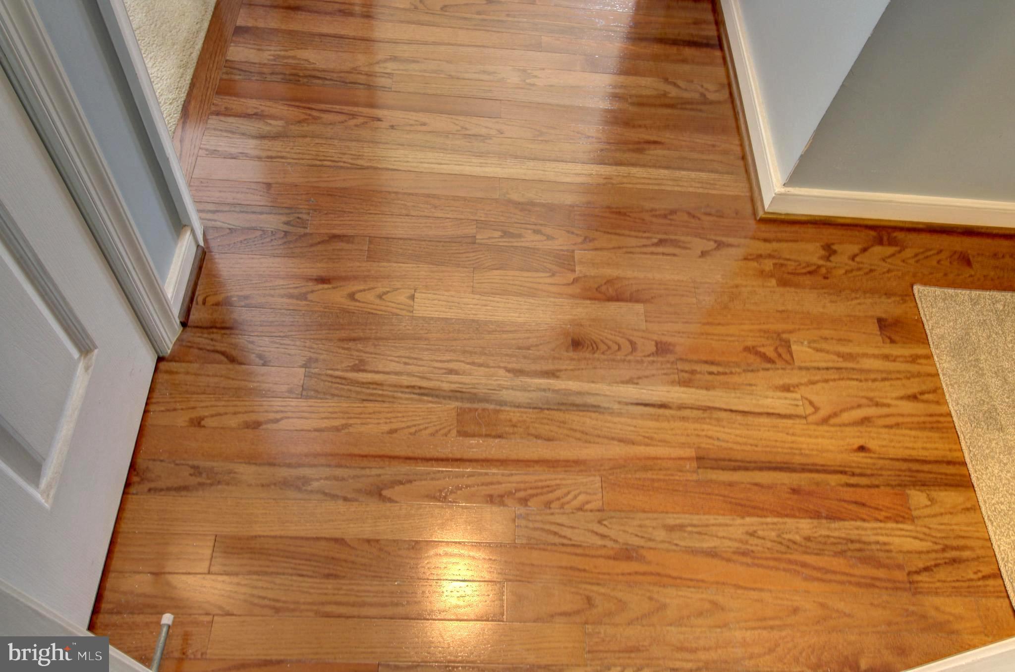 916 Augustine Drive Culpeper, VA 22701 - Photo 25 of 69 Gleaming hardwood floors