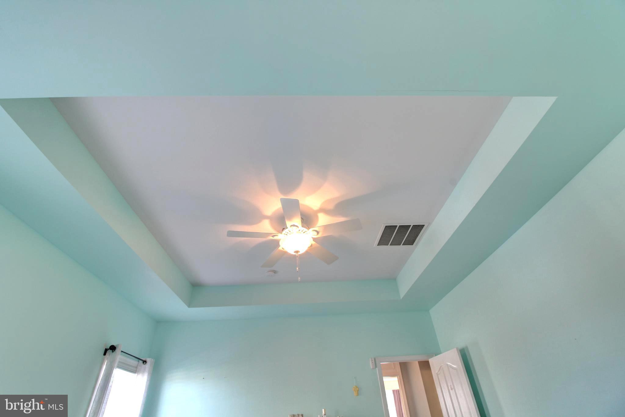 916 Augustine Drive Culpeper, VA 22701 - Photo 28 of 69 Lovely boxed ceiling detail