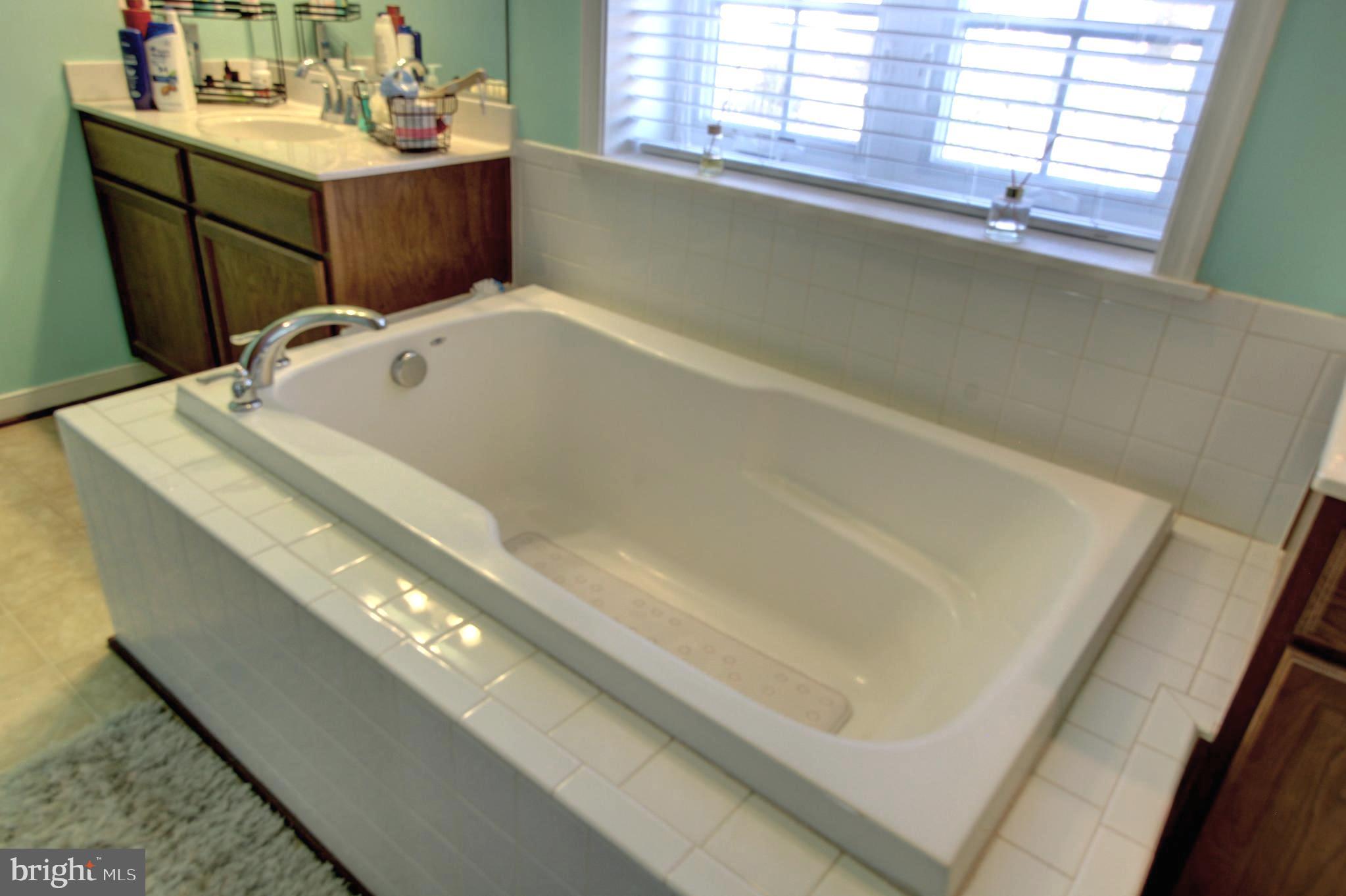 916 Augustine Drive Culpeper, VA 22701 - Photo 32 of 69 Soaking tub is a delight