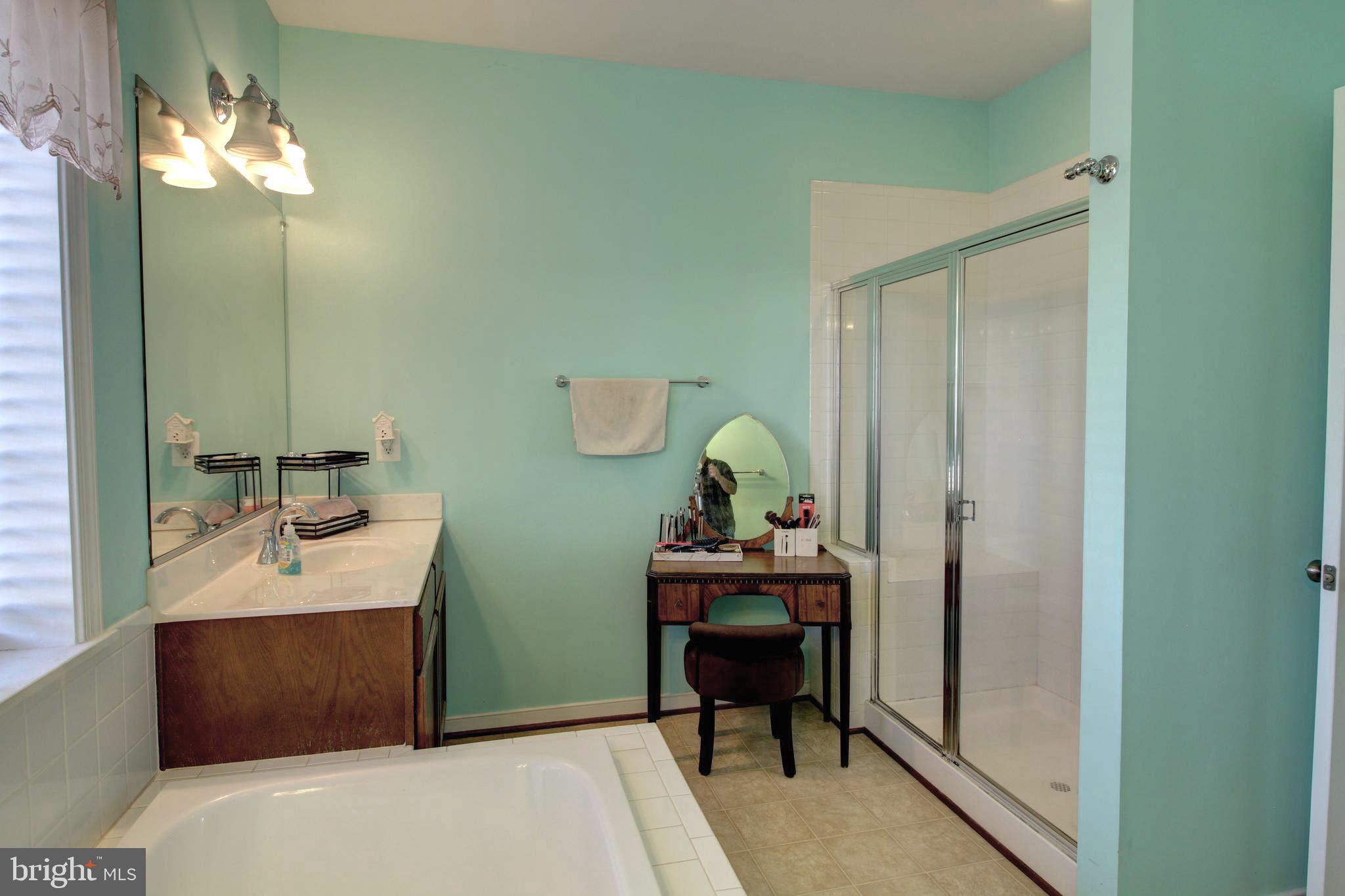 916 Augustine Drive Culpeper, VA 22701 - Photo 33 of 69 Generous glass door shower