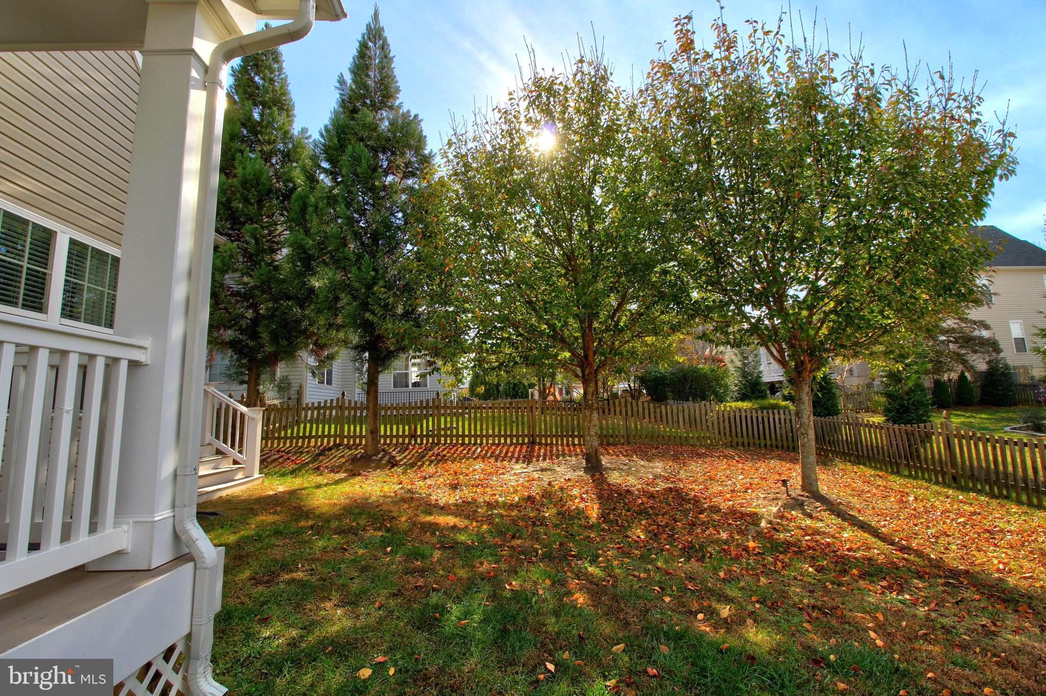 916 Augustine Drive Culpeper, VA 22701 - Photo 54 of 69 Fall foliage in fenced backyard