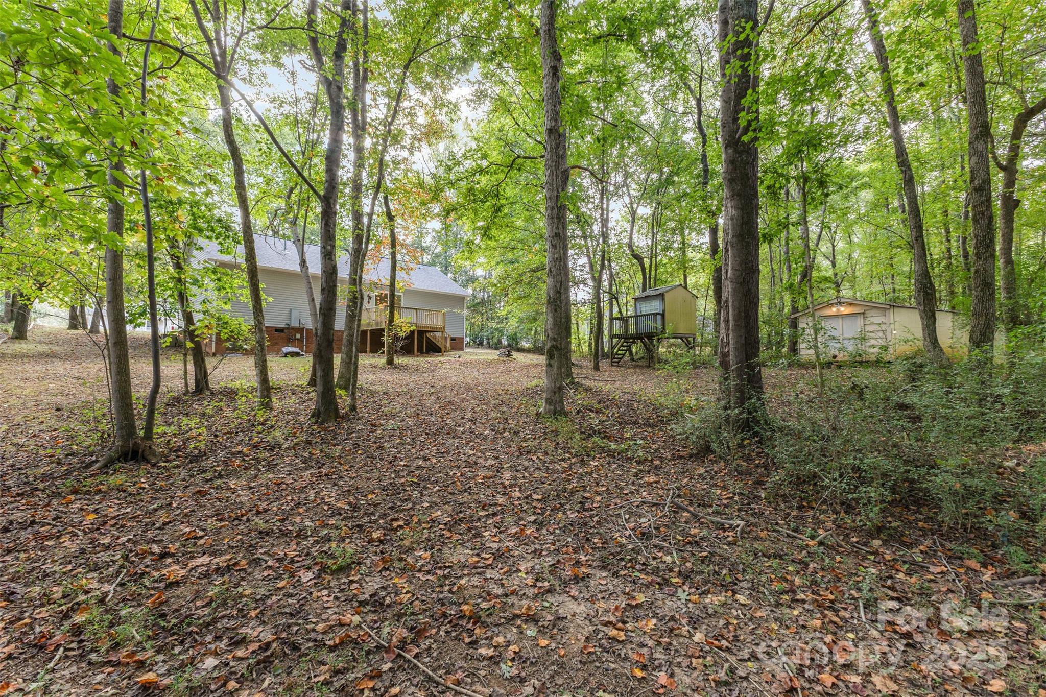 159 Scotch Pine Drive York, SC 29745 - Photo 24 of 28 a view of outdoor space with trees