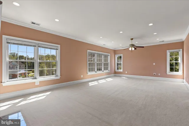 a view of livingroom with furniture and closet
