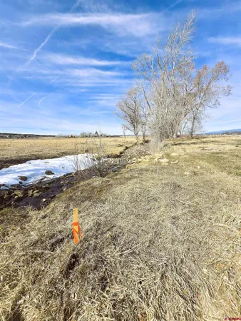 a view of an ocean beach