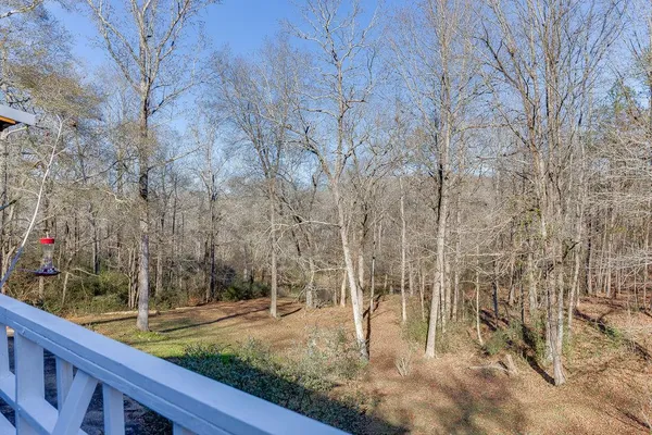 a view of yard