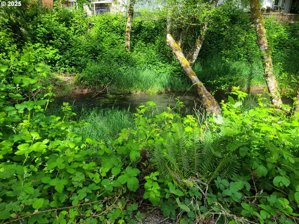a view of a pathway both side of the house