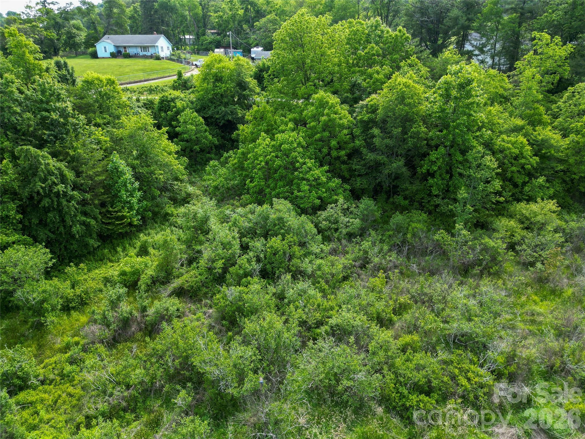 0 Abel Road Canton, NC 28716 - Photo 5 of 9
