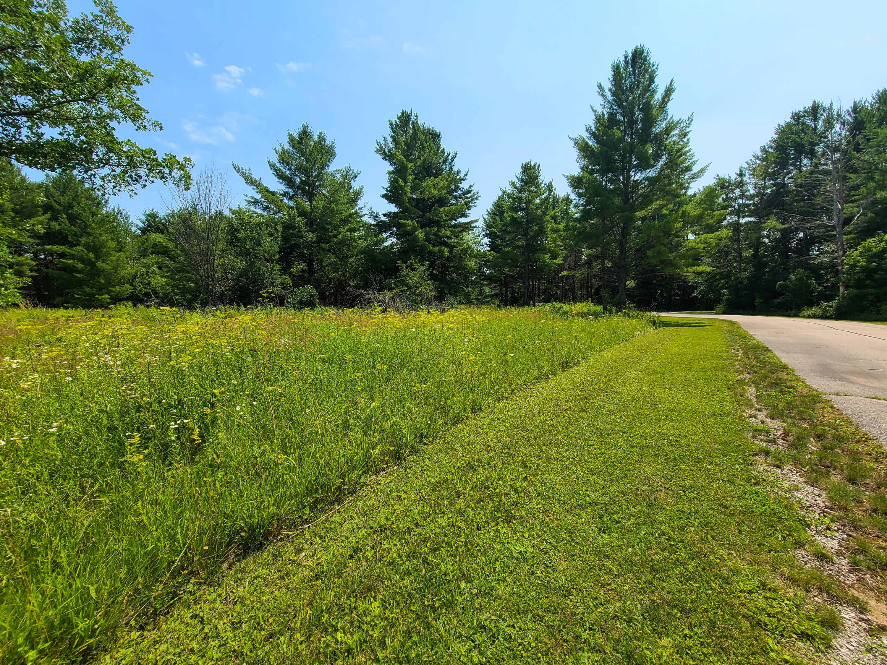 Lot #12 Rivers Ridge Court Cheboygan, MI 49721 - Photo 9 of 11 Gallery Image 9