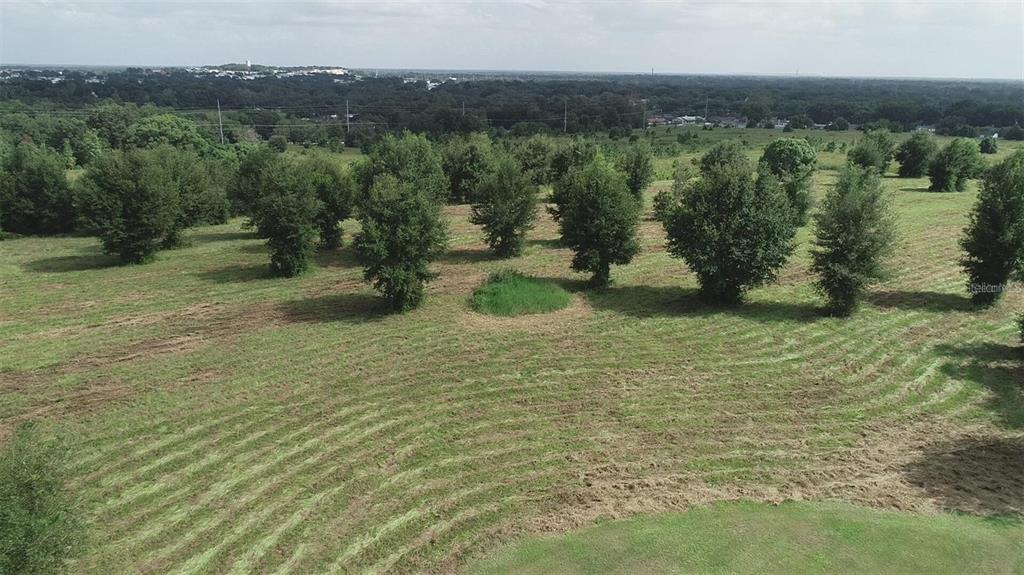 Fairview Heights Road Zephyrhills, FL 33541 - Photo 8 of 12 Gallery Image 8