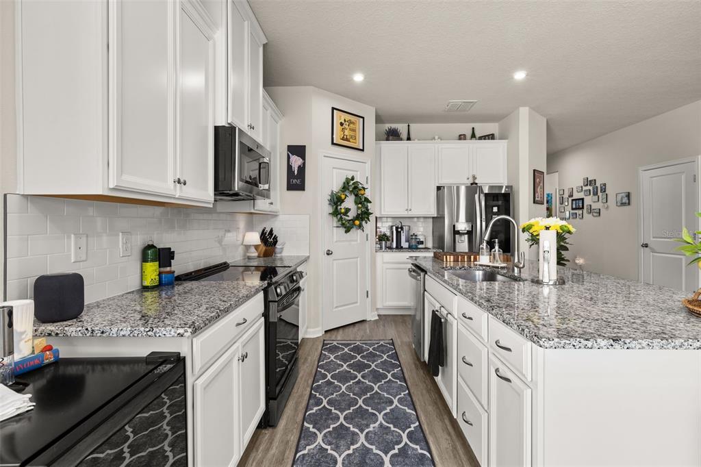 367 August Fern Loop Mount Dora, FL 32757 - Photo 6 of 90