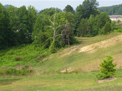 648 Valentine Branch Road Cannon, KY 40923 - Photo 6 of 11 Photo 6