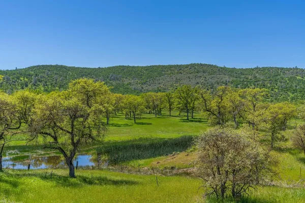 a view of a city with mountains in the background