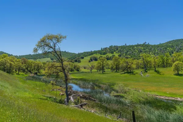 a view of a grassy area with an trees