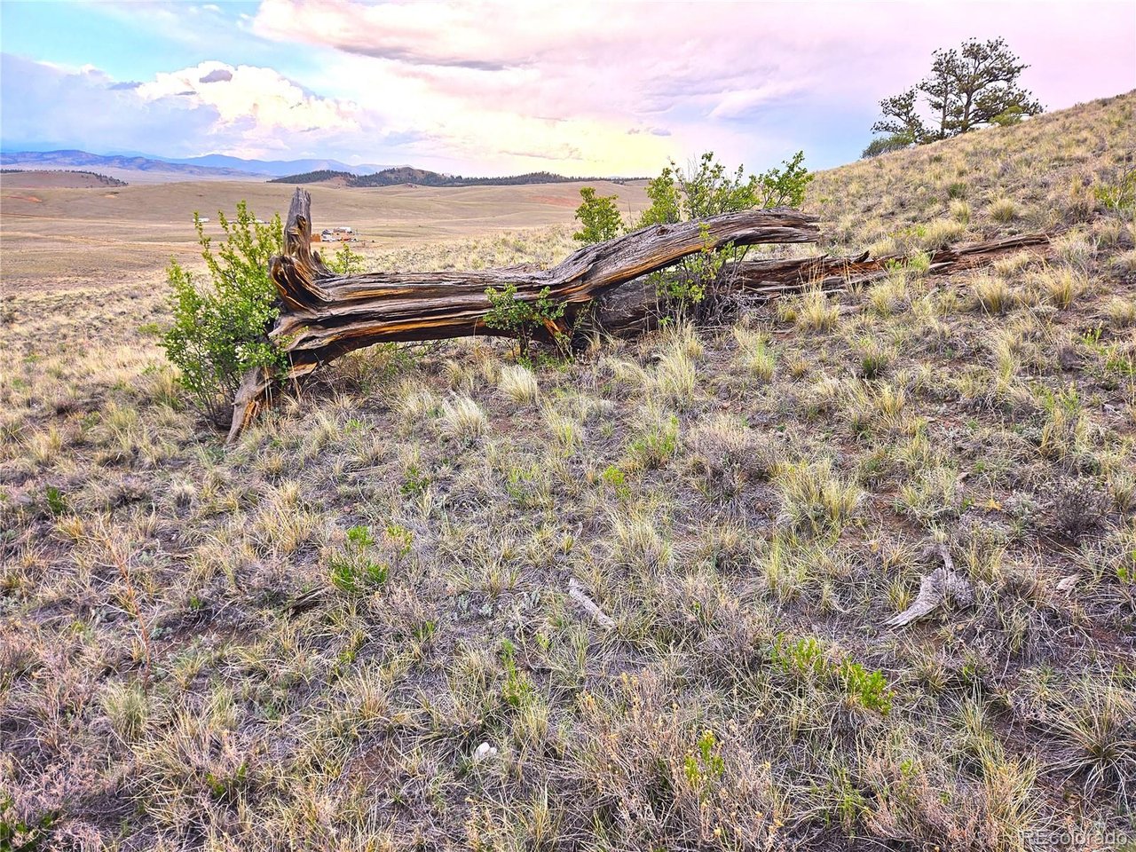 25427 Yuma Road Hartsel, CO 80449 - Photo 28 of 31