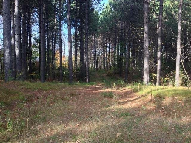 Lot 3 Bear Paw Road Rhinelander, WI 54501 - Photo 13 of 15 Gallery Image 13