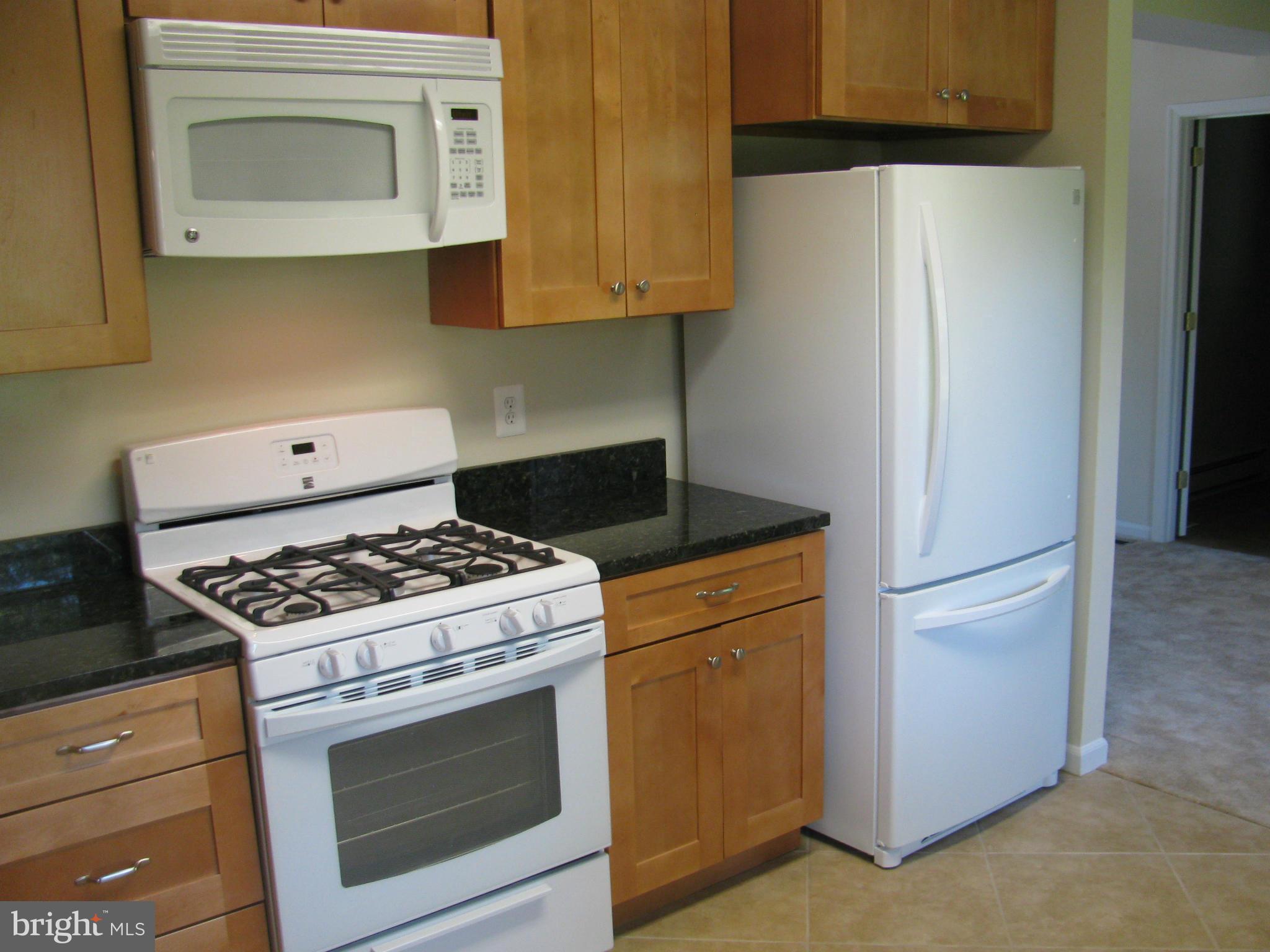 605 West Maple Avenue Sterling, VA 20164 - Photo 5 of 18 Kitchen