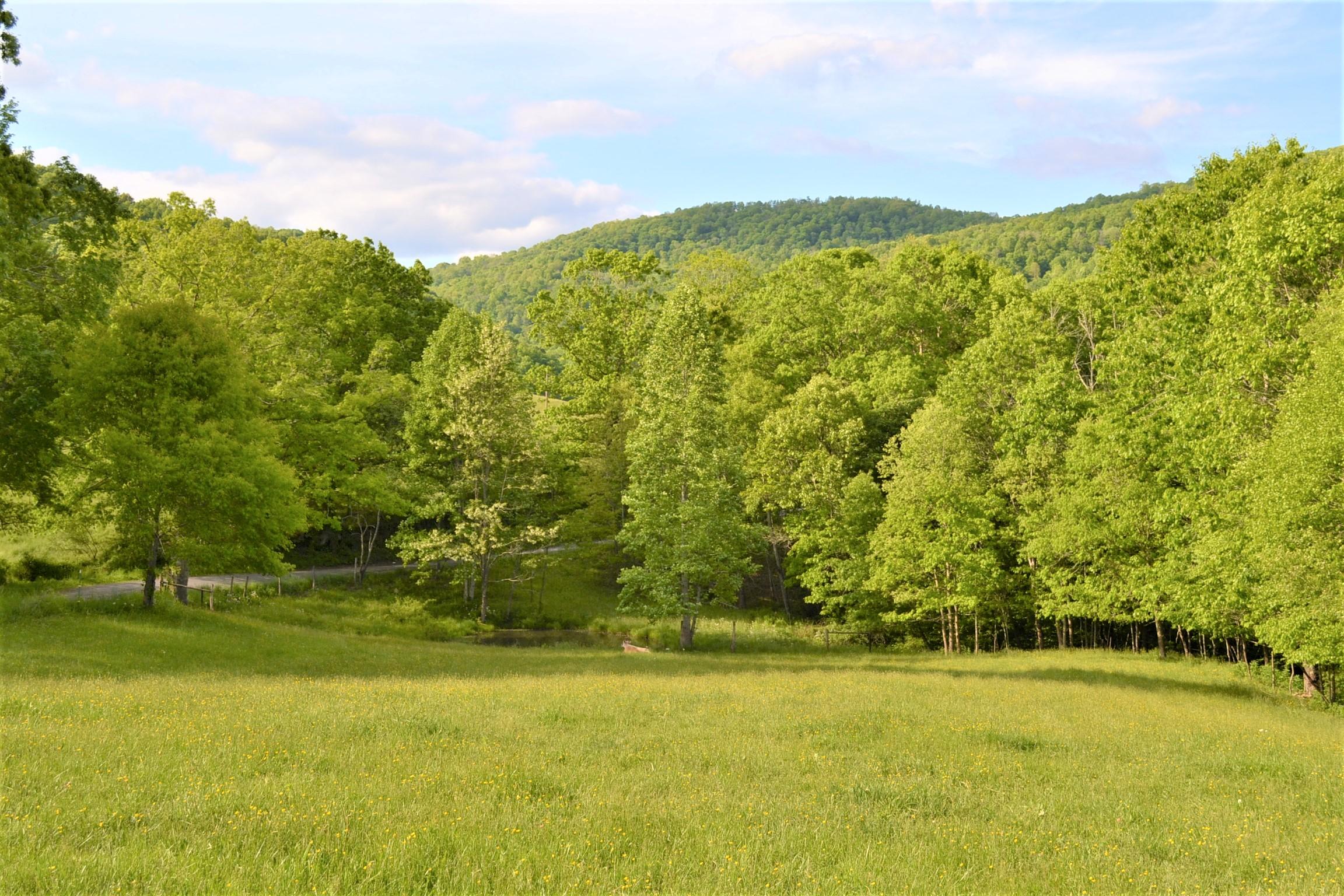 1640 Julia Road Renick, WV 24966 - Photo 20 of 77 Gallery Image 20