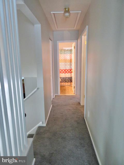 516 Banyan Road Newark, DE 19713 - Photo 11 of 13 Gallery Image 11