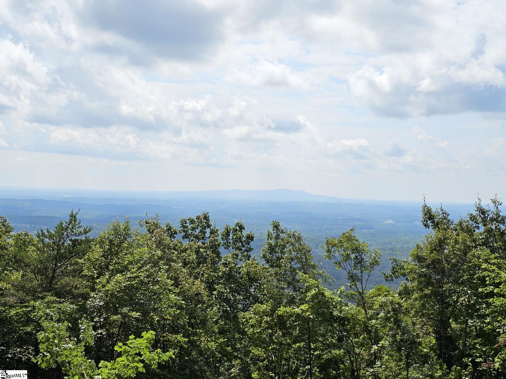 101 Southview Ledge Road Landrum, SC 29356 - Photo 2 of 8