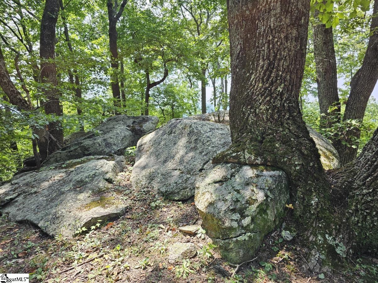 101 Southview Ledge Road Landrum, SC 29356 - Photo 3 of 8