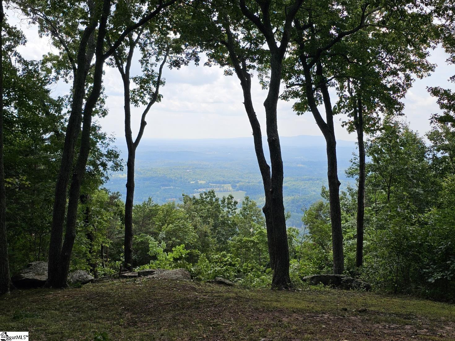 101 Southview Ledge Road Landrum, SC 29356 - Photo 4 of 8