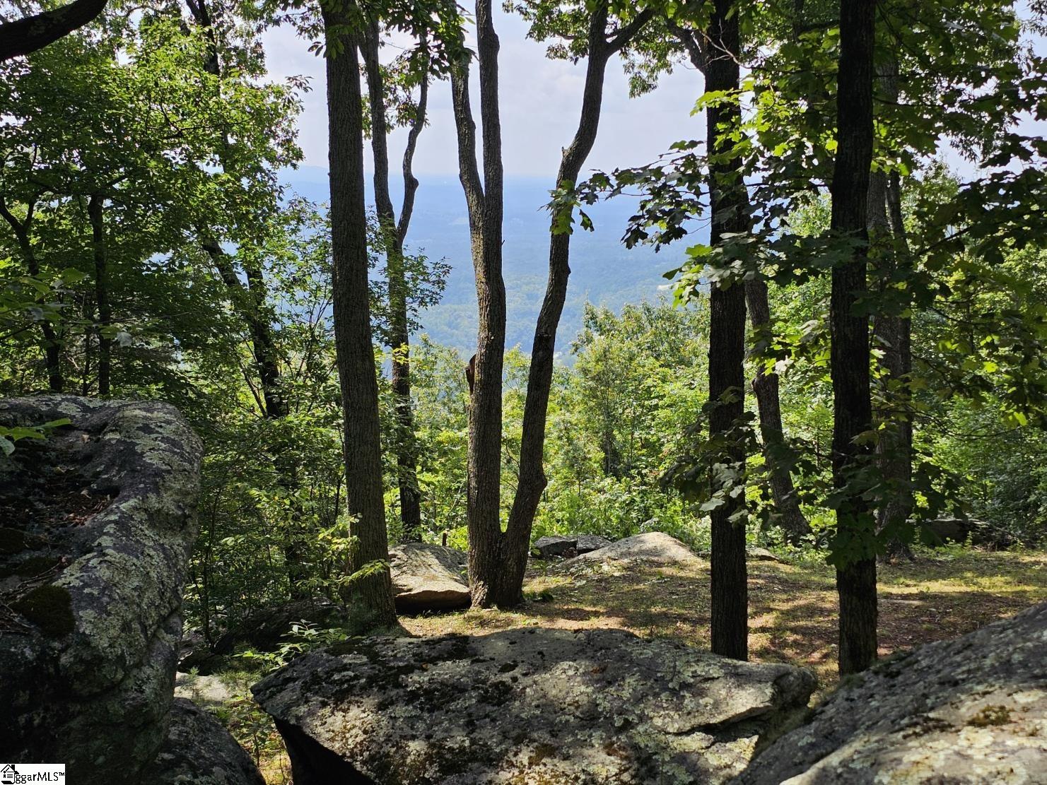 101 Southview Ledge Road Landrum, SC 29356 - Photo 5 of 8