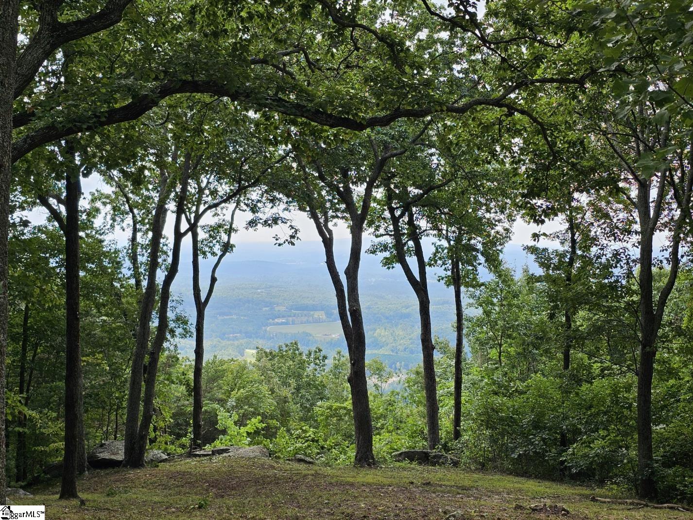 101 Southview Ledge Road Landrum, SC 29356 - Photo 6 of 8