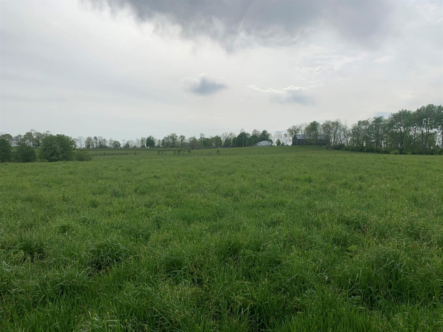 847 Hutchison Road Paris, KY 40361 - Photo 6 of 8 Photo 6