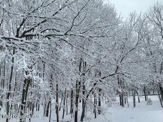 Spring Court Bushkill, PA 18324 - Photo 2 of 13 a view of a bunch of trees