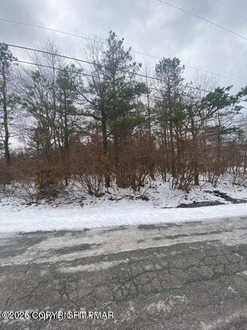 a view of a backyard of a house