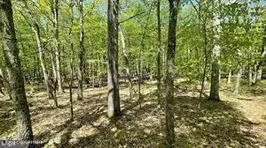 a swimming pool with a yard and outdoor seating