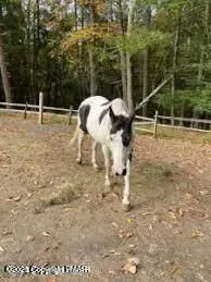 a view of under construction of a yard