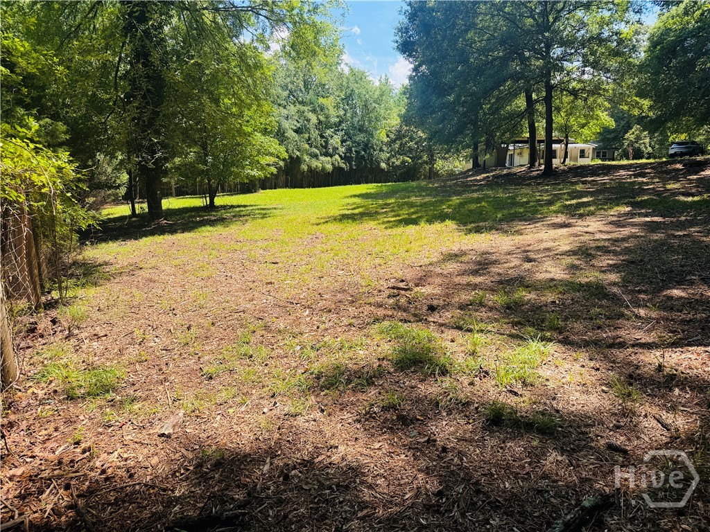 175 Homestead Drive Athens, GA 30605 - Photo 3 of 28
