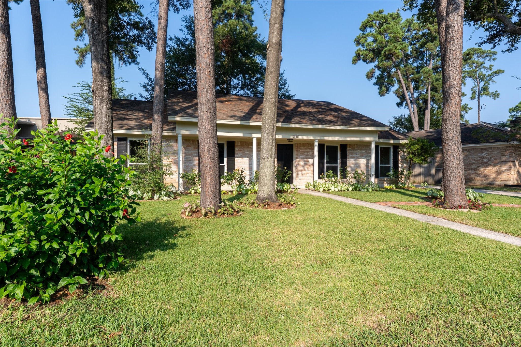 25019 Barmby Drive Spring, TX 77389 - Photo 3 of 43 a front view of a house with swimming pool