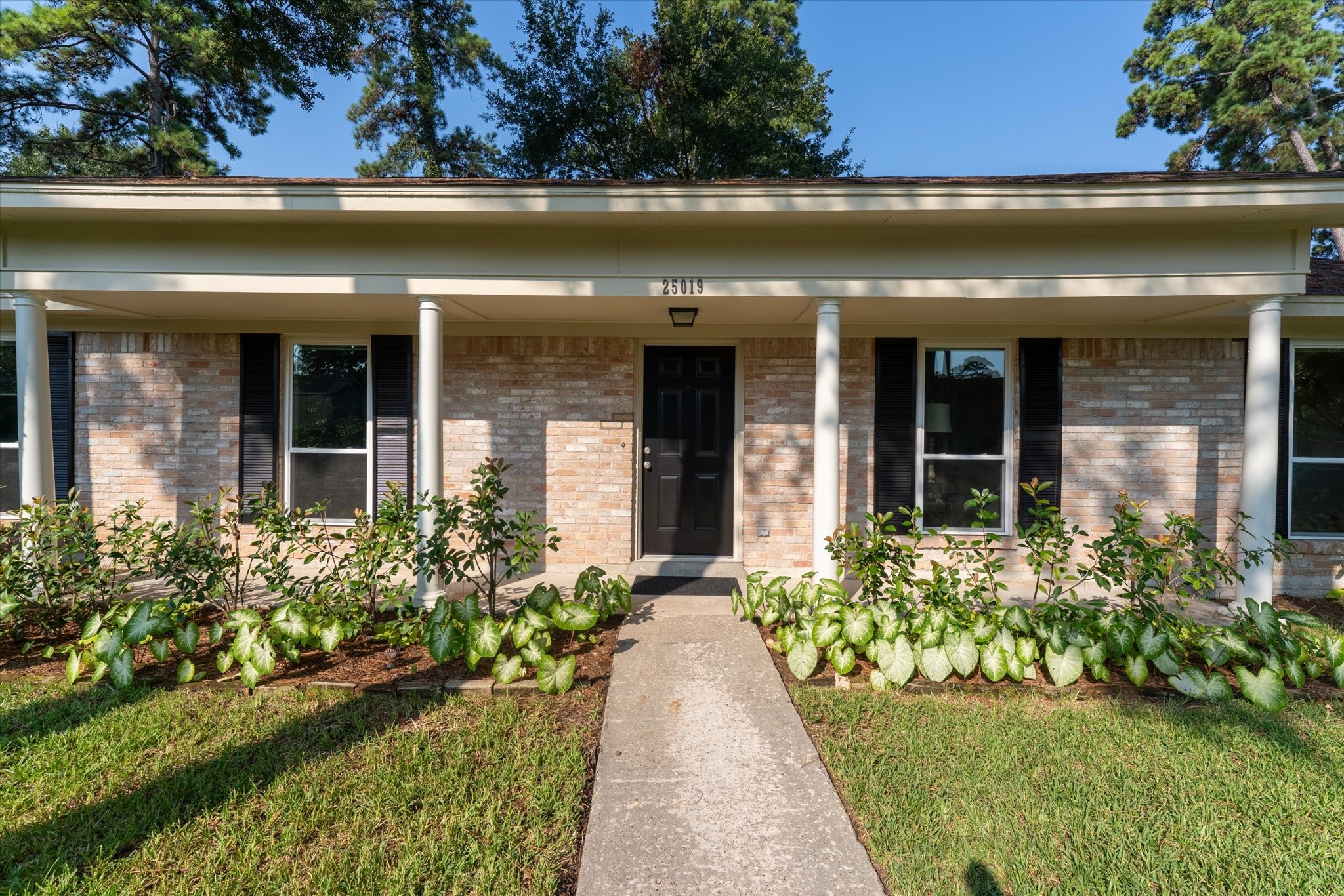25019 Barmby Drive Spring, TX 77389 - Photo 5 of 43 front view of a house with a yard