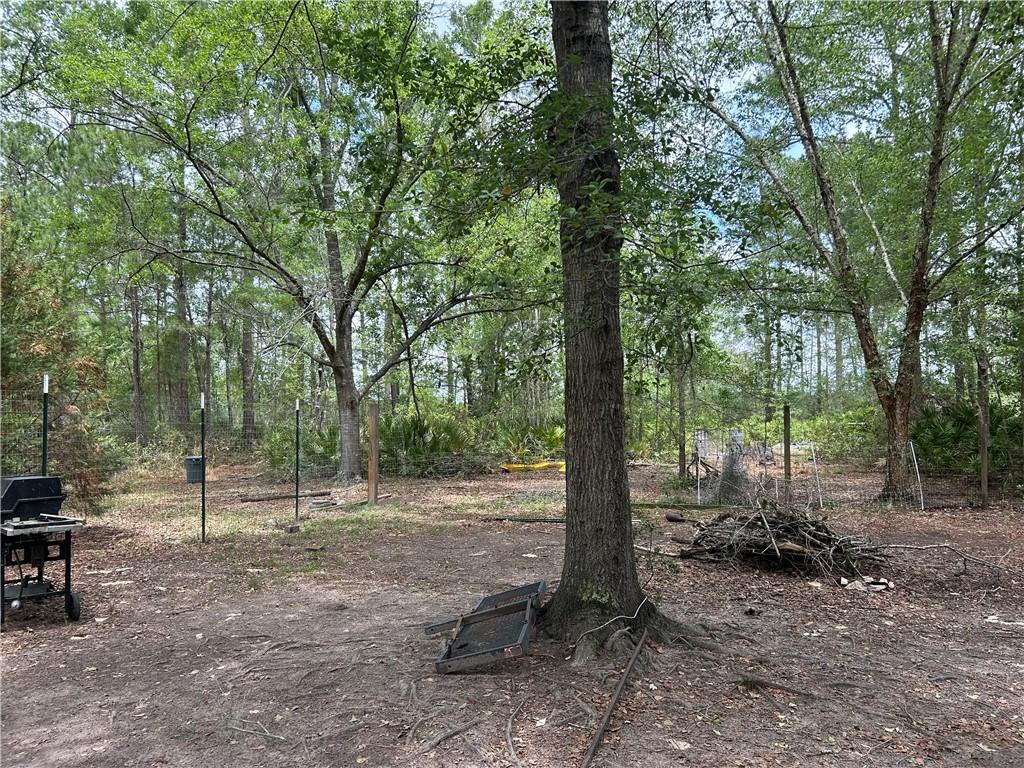 114 Jones Road Hortense, GA 31543 - Photo 9 of 25 a view of outdoor space with trees