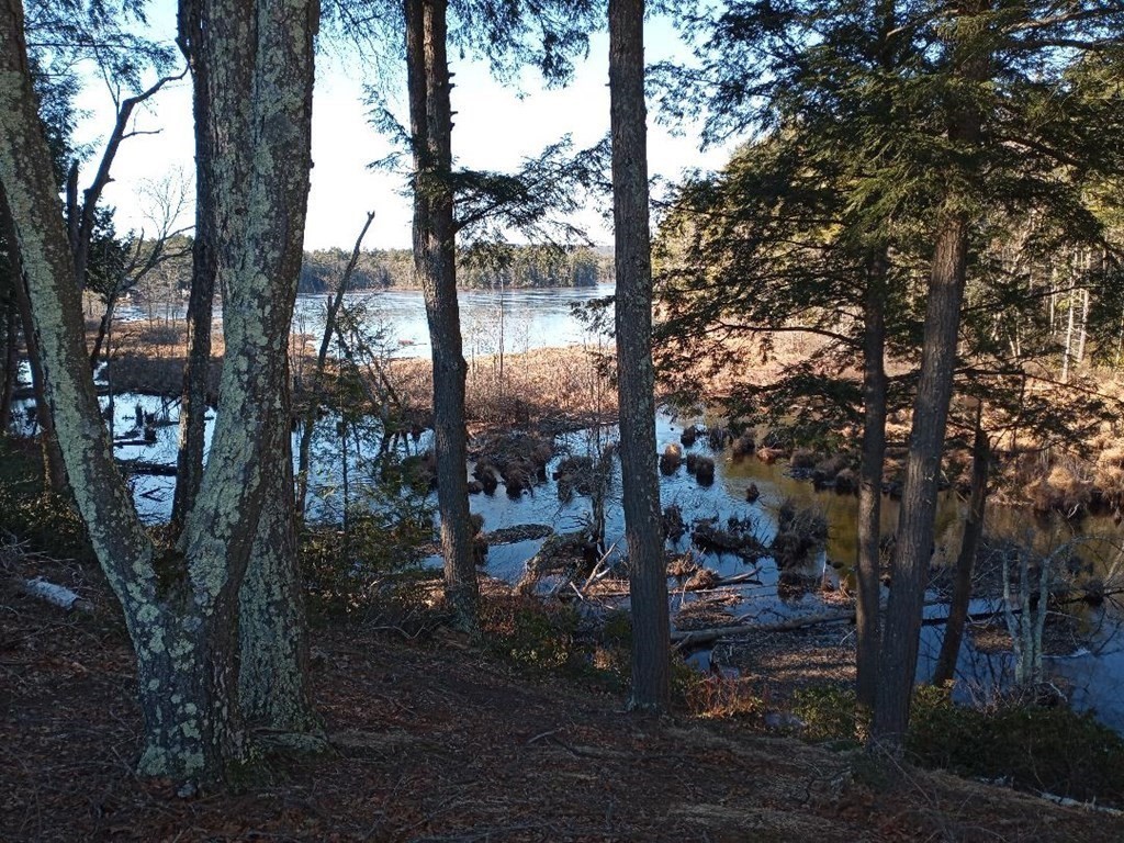 1753 White Pond Road Athol, MA 01331 - Photo 31 of 33 a view of a yard with plants and trees
