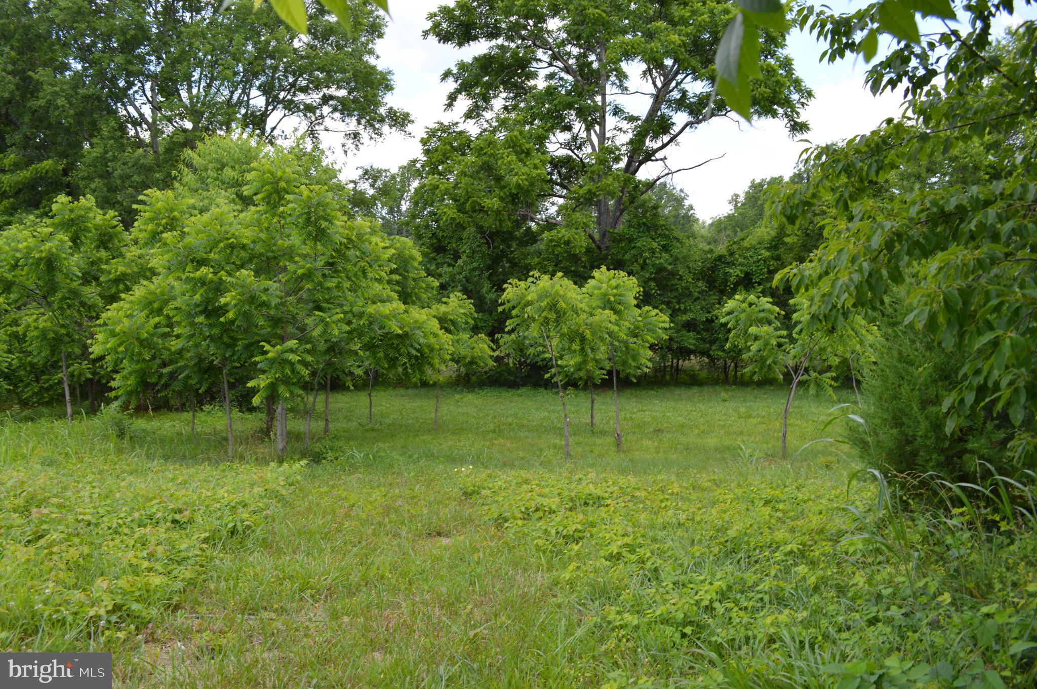 Hoover Road Culpeper, VA 22701 - Photo 1 of 10