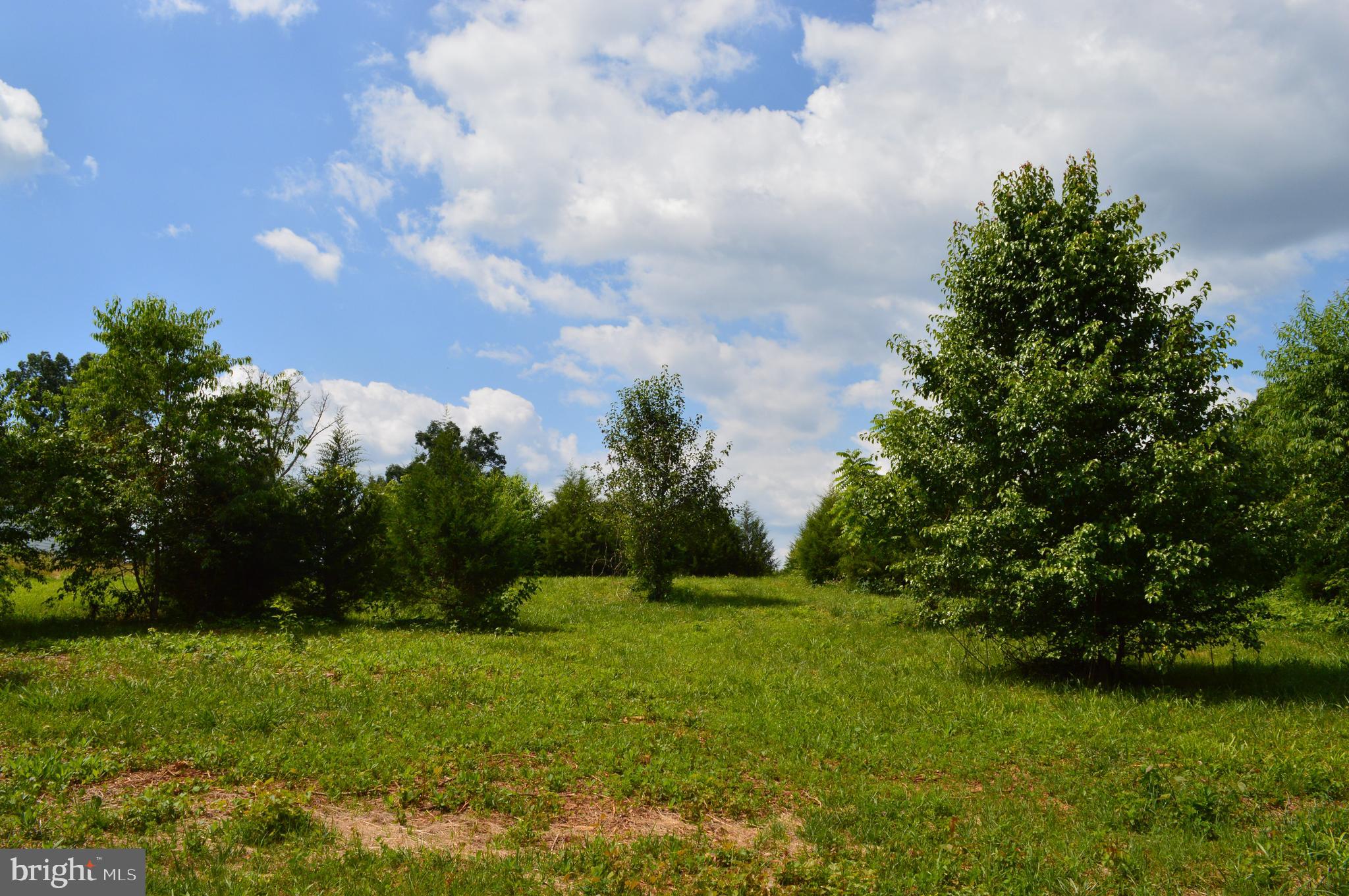 Hoover Road Culpeper, VA 22701 - Photo 3 of 10