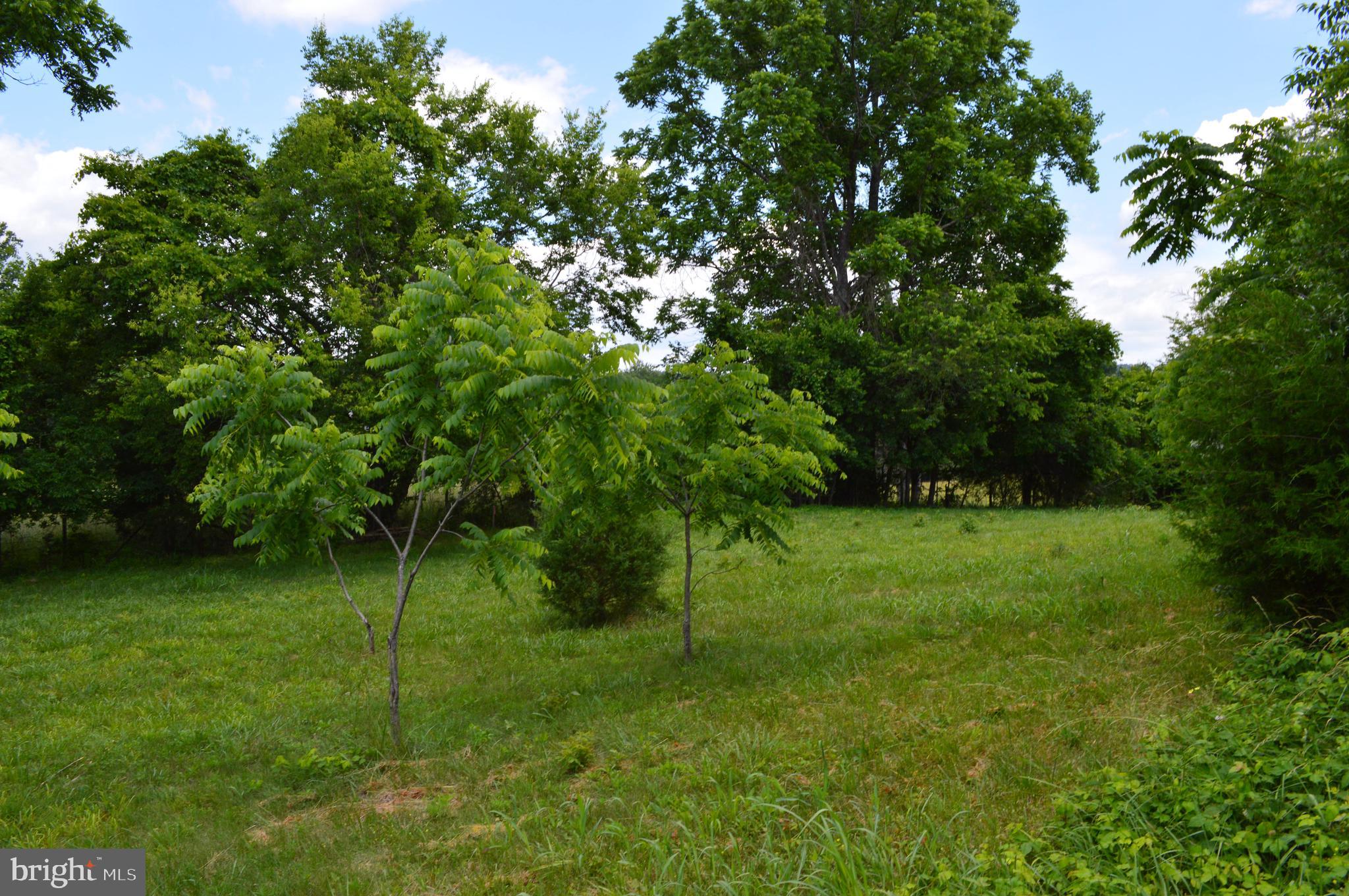 Hoover Road Culpeper, VA 22701 - Photo 4 of 10
