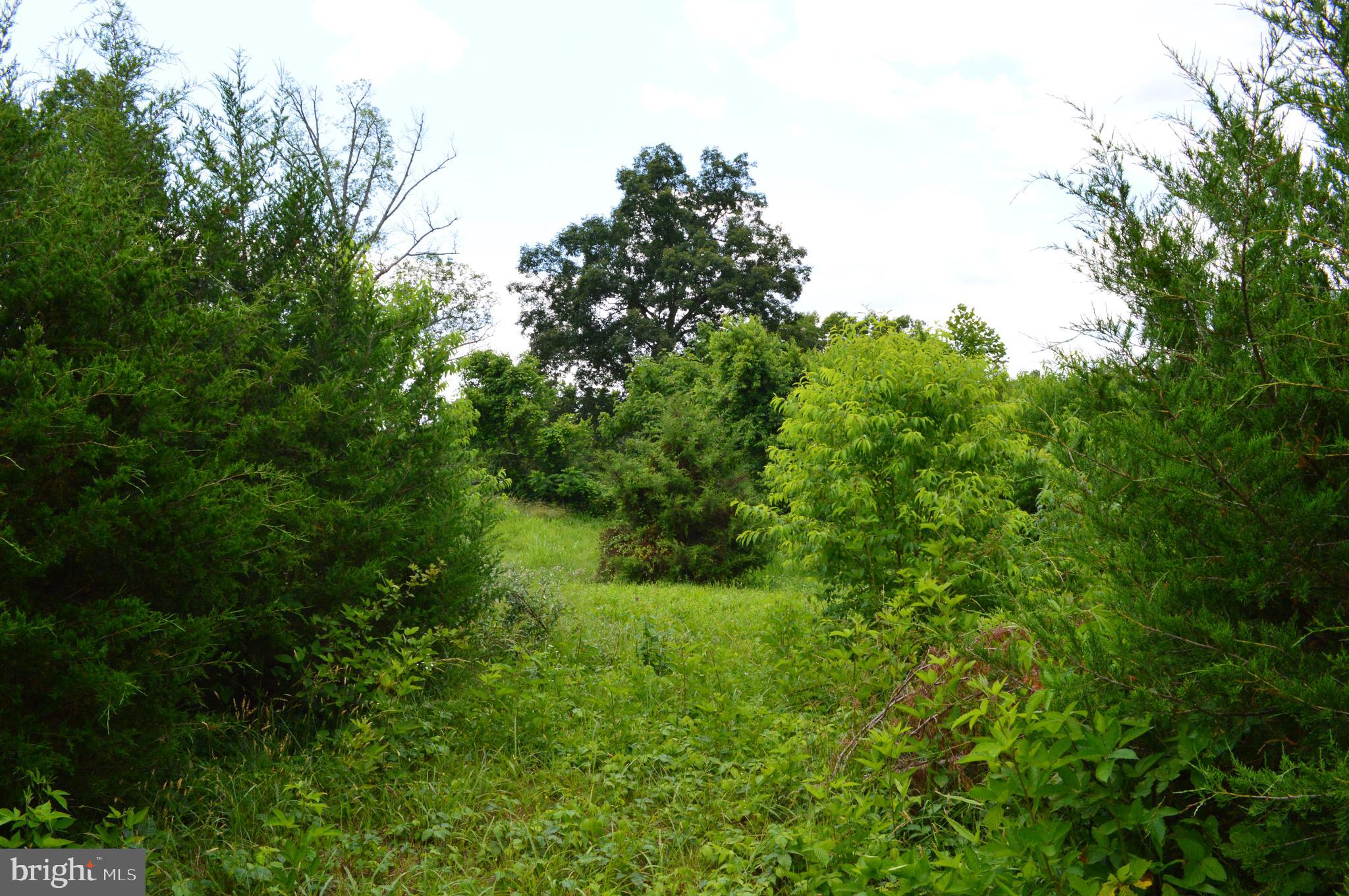 Hoover Road Culpeper, VA 22701 - Photo 5 of 10