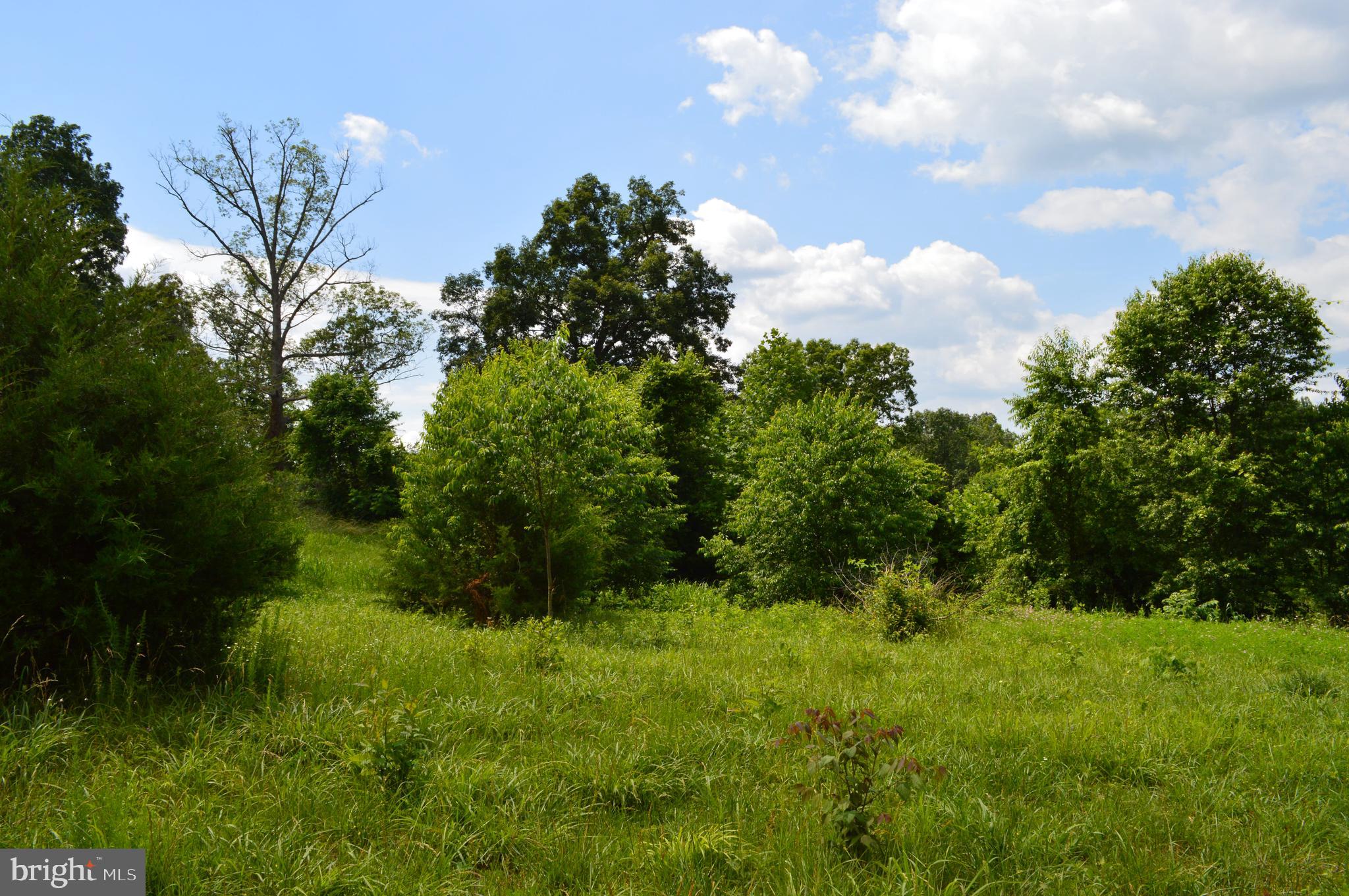 Hoover Road Culpeper, VA 22701 - Photo 6 of 10
