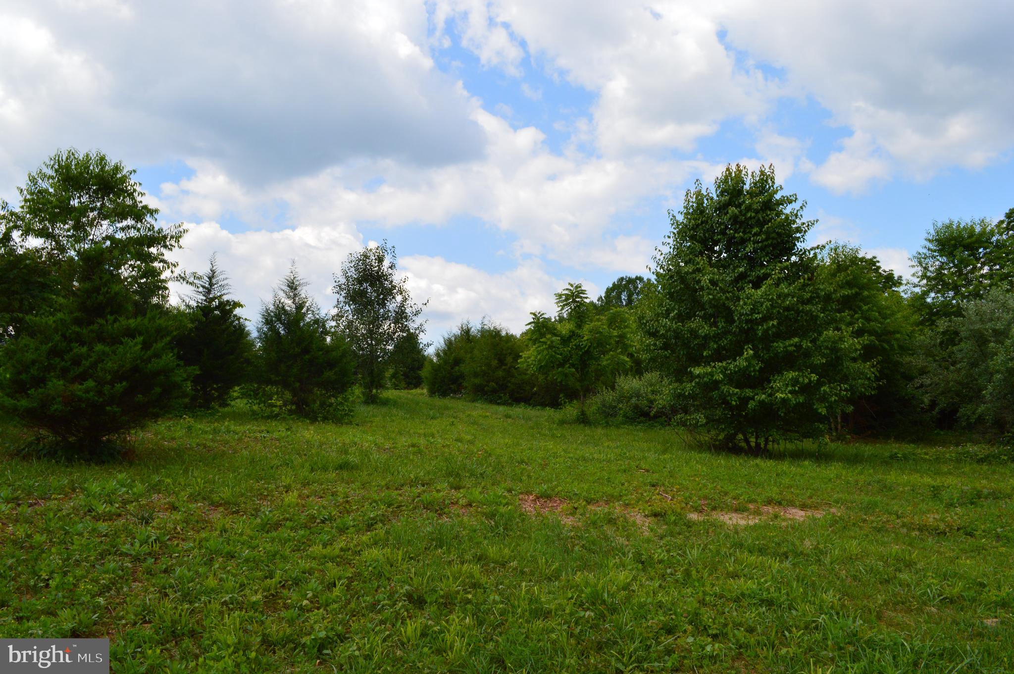 Hoover Road Culpeper, VA 22701 - Photo 7 of 10