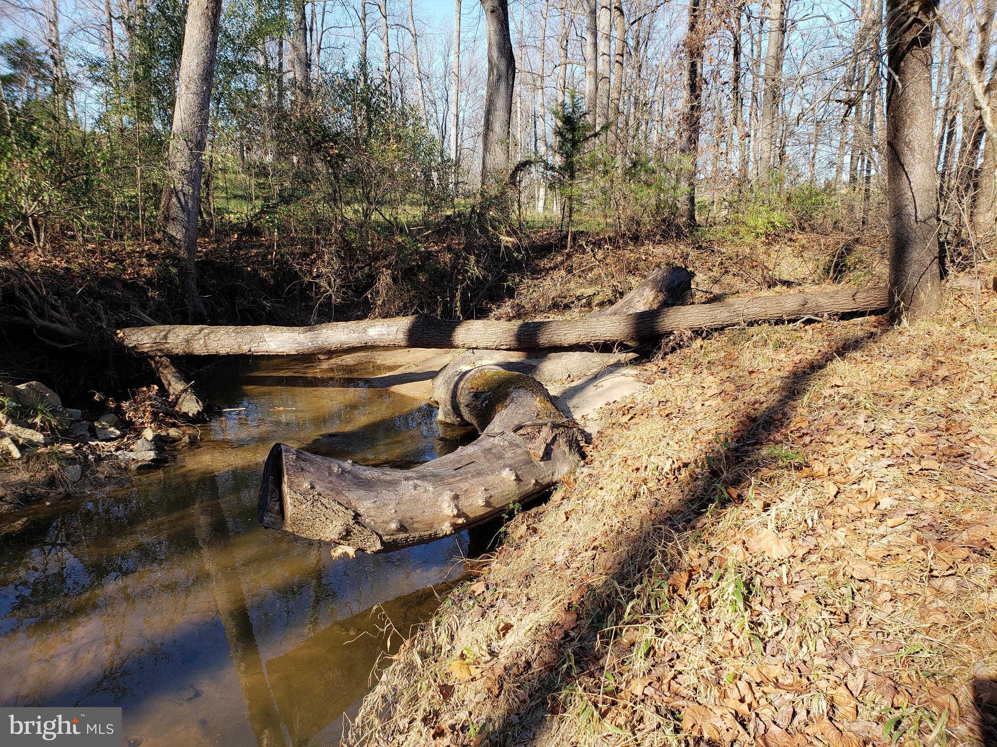 Hoover Road Culpeper, VA 22701 - Photo 10 of 10