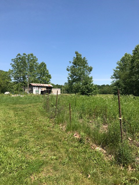 12399 Anderson Road French Lick, IN 47432 - Photo 15 of 17