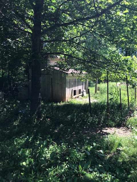 12399 Anderson Road French Lick, IN 47432 - Photo 16 of 17