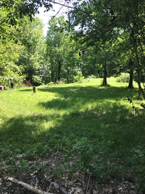 12399 Anderson Road French Lick, IN 47432 - Photo 3 of 17