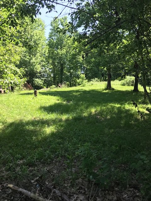 12399 Anderson Road French Lick, IN 47432 - Photo 4 of 17